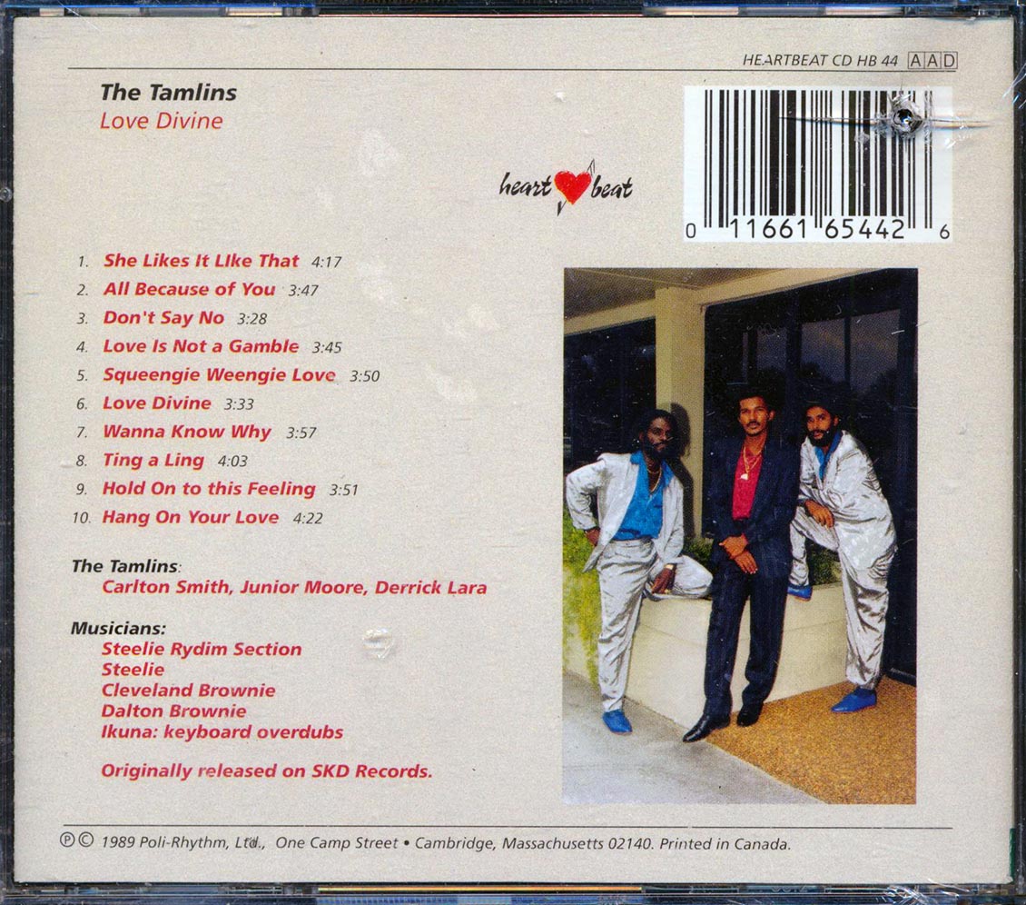 Back Cover Thumbnail