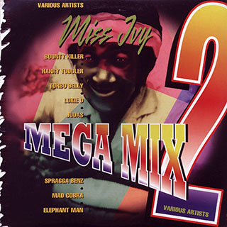 Bounty Killer, Elephant Man, Turbo Belly, Etc. - Miss Ivy Mega Mix 2