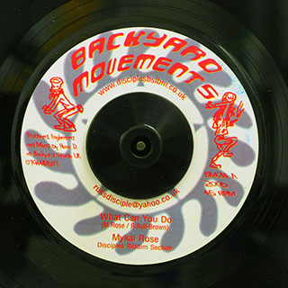 Michael Rose - What Can You Do  /  Disciples Riddim Section - Dub