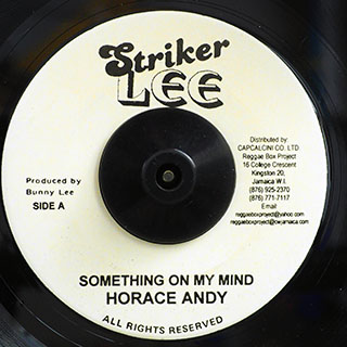 Horace Andy - Something On My Mind  /  The Aggrovators - Version
