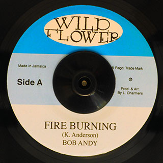 Bob Andy - Fire Burning  /  Dadawah - Burning Drums (Version)