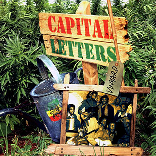 Capital Letters - Vineyard