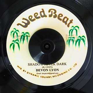 Devon Lyon - Shadow After Dark  /  Sas In Dub