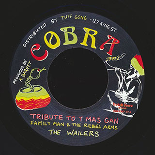 The Wailers (Familyman & The Rebel Arms) - Tribute To Y Mas Gan  /  The Wailers (Familyman & The Rebel Arms) - Steppers Rock