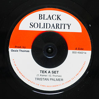 Triston Palmer - Tek A Set  /  Roots Radics - South Of The Border