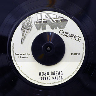 Josey Wales - Bobo Dread  /  Roots Radics - Version
