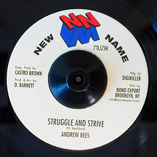 Andrew Bees - Struggle And Strive  /  Version