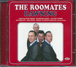 The Roomates - Dawning
