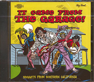 Various - It Came From The Garage: Nuggets From Southern California
