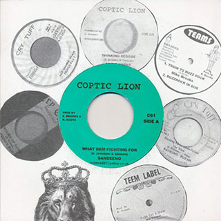 Sandeno - What Dem Fighting For  /  Keety Roots - Dub