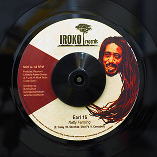 Earl Sixteen - Natty Farming  /  The Producers - Farming Dub