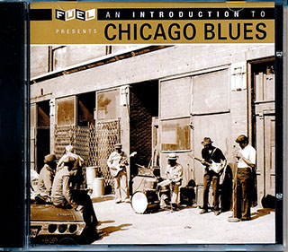 JB Lenoir, Elmore James, Muddy Waters, Big Joe Williams, Etc. - An Introduction To Chicago Blues