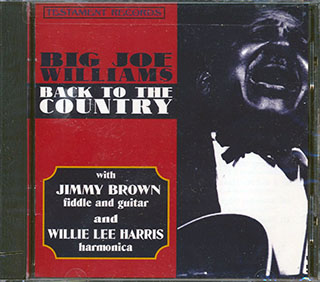 Big Joe Williams - Back To The Country