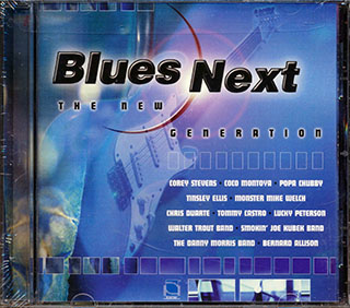 Corey Stevens, Tinsley Ellis, Chris Duarte, Etc. - Blues Next: The New Generation