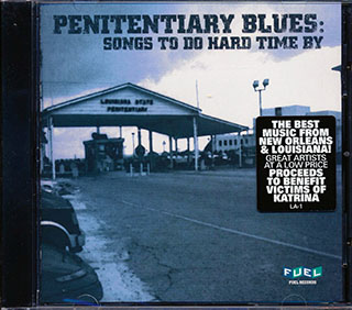 BB King, Junior Wells, Blind Blake, Big Joe Williams, Blind Lemon Jefferson - Penitentiary Blues: Songs To Do Hard Time By