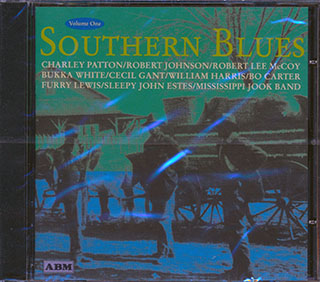 Charley Patton, Robert Johnson, Robert Lee McCoy, Bukka White, Etc. - Southern Blues Volume 1