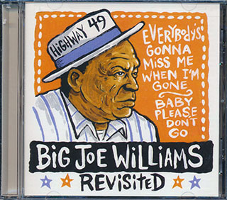 Big Joe Williams - Revisited