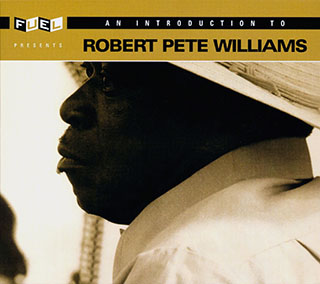 Robert Pete Williams - An Introduction To Robert Pete Williams