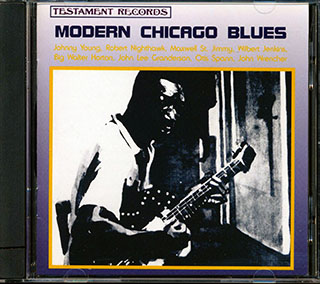 Robert Nighthawk, Wilbert Jenkins, Big Walter Horton, Maxwell Street Jimmy, Etc. - Modern Chicago Blues