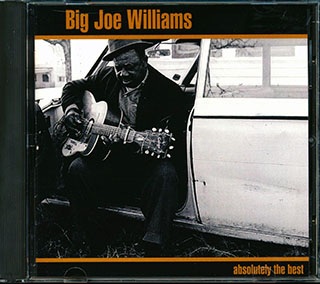 Big Joe Williams - Absolutely The Best