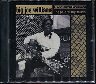 Big Joe Williams - These Are My Blues