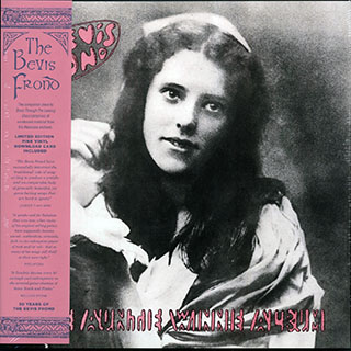 The Bevis Frond - The Auntie Winnie Album