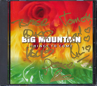 Big Mountain - Things To Come