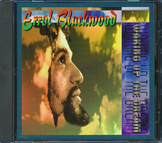 Errol Blackwood - Waking Up The Dream