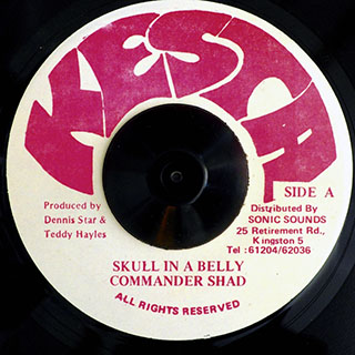 Commander Shad - Skull In A Belly  /  Version