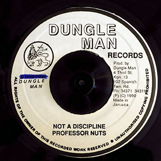 Professor Nuts - Not A Discipline  /  Version