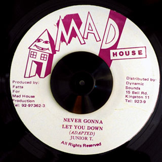 Junior T - Never Gonna Let You Down  /  Version