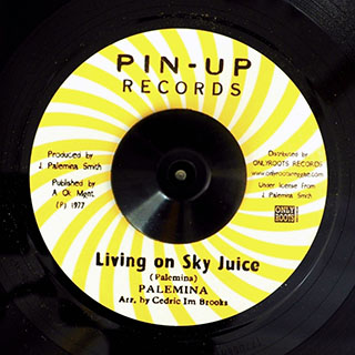 Palemina - Living On Sky Juice  /  Blood Relatives & Friends - Version