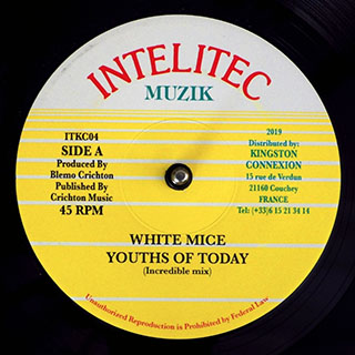 White Mice - Youths Of Today  /  Version
