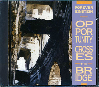 Forever Einstein - Opportunity Crosses The Bridge