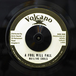 Wailing Souls - A Fool Will Fall  /  The Roots Radics - Version