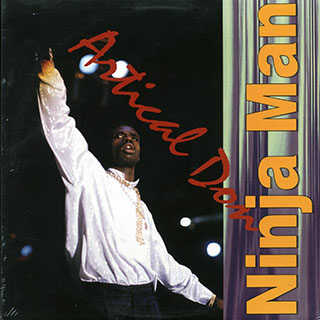 Ninjaman - Artical Don