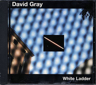 David Gray - White Ladder