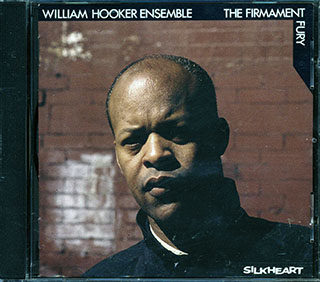 William Hooker Ensemble - The Firmament Fury