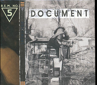 REM - Document
