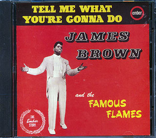 James Brown & The Famous Flames - Tell Me What You're Gonna Do