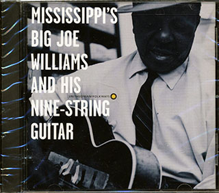 Big Joe Williams - Mississippi's Big Joe Williams And His Nine String Guitar
