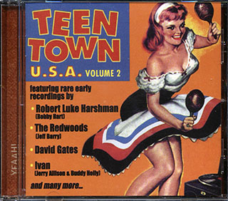 The Nighthawks, Jimmy Meng, Dave Meadows, Jimmie Beaumont, Etc. - Teen Town USA Volume 2: Rare American Recordings From The 50s And Early 60s