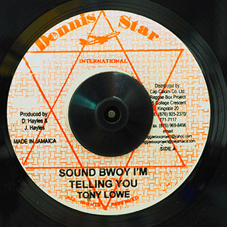 Tony Lowe - Sound Bwoy I'm Telling You  /  Version