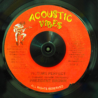 Prezident Brown - Picture Perfect  /  Version