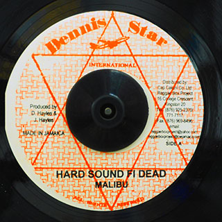 Malibu - Hard Sound Fi Dead  /  Teddy Irie - Run Come Sound Bwoy