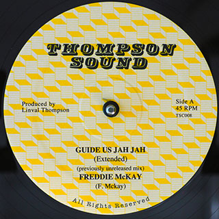 Freddie McKay, The Roots Radics  - Guide Us Jah Jah (extended Mix)  /  Al Campbell, The Roots Radics - Unfaithful Children (Extended Mix)