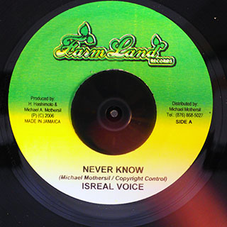 Israel Voice - Never Know  /  Version