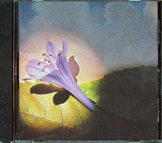 Suzzy, Maggie Roche - Zero Church