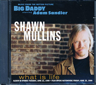 Shawn Mullins  - What Is Life