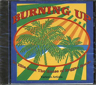 Alton Ellis, Al Campbell, Augustus Pablo, Dennis Brown, Etc. - Burning Up